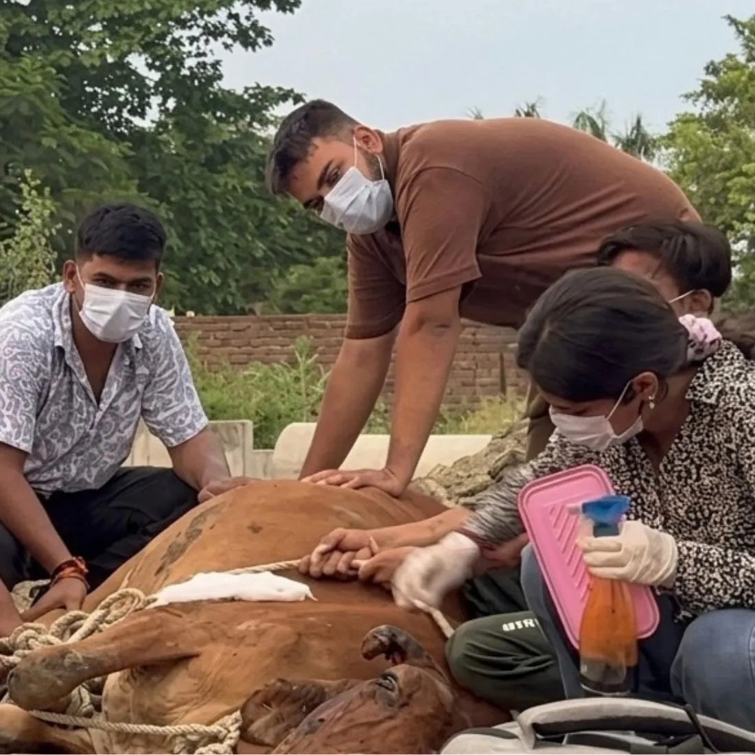 Animal Activist in Ayodhya