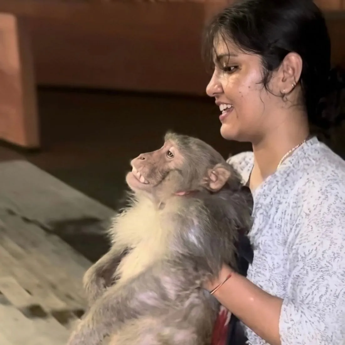 Stray Animal Rescue and Rehabilitation in Ayodhya